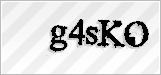 CAPTCHA security code