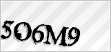CAPTCHA security code
